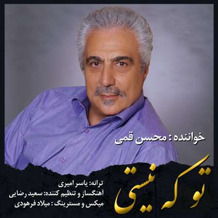 Mohsen Ghomi – To Ke Nisti